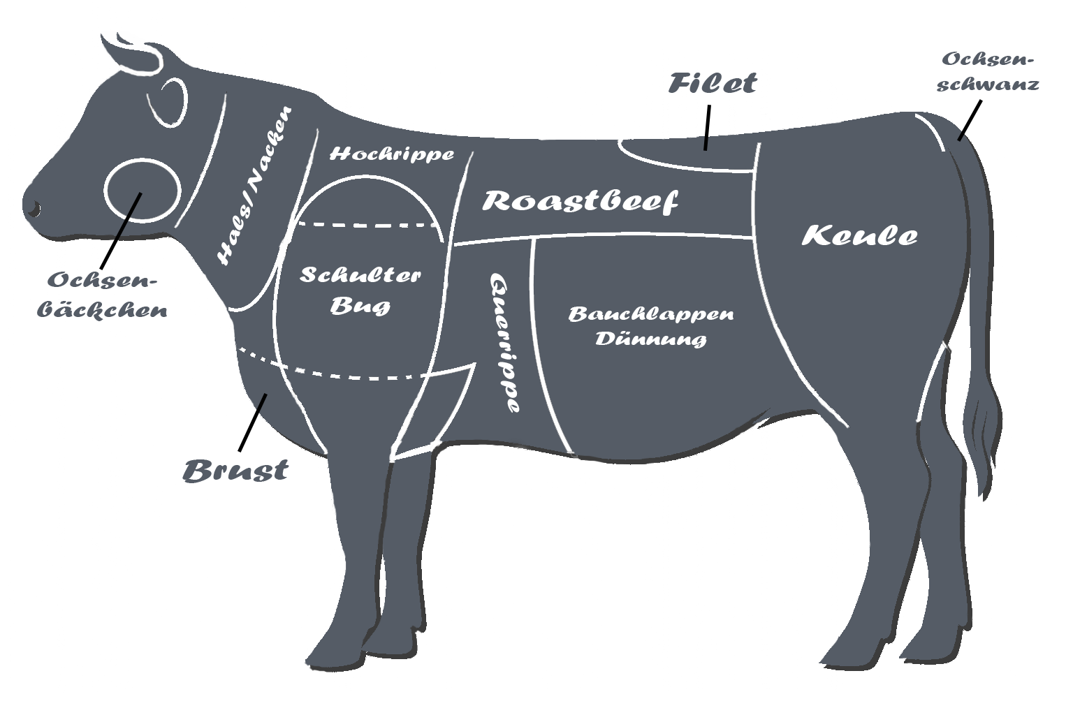 Rind – Schnittführung